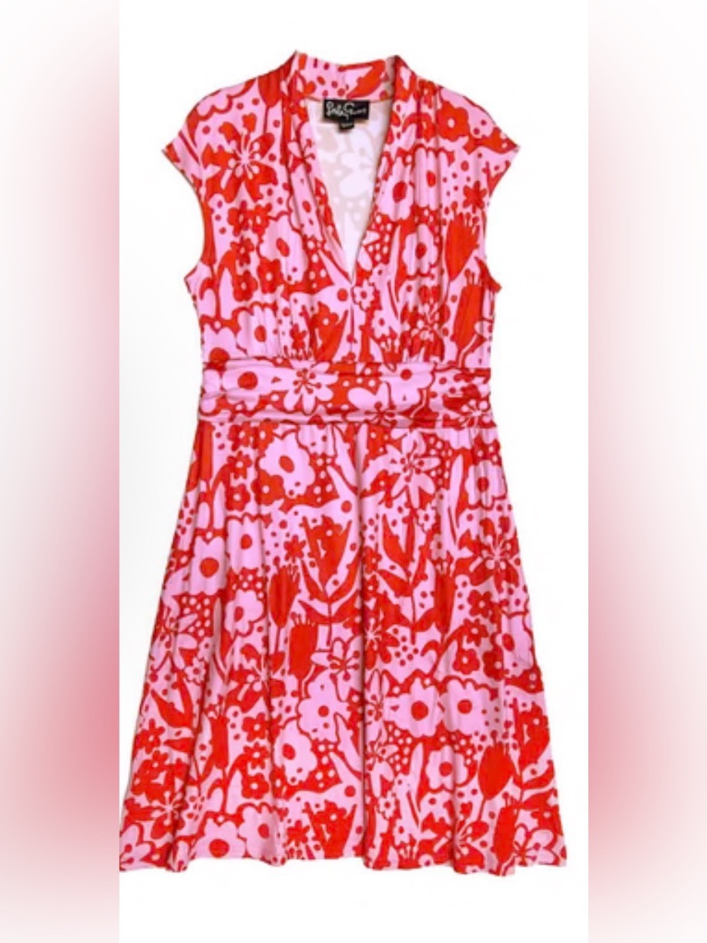 Lesley Evers “Betsy Dress”
